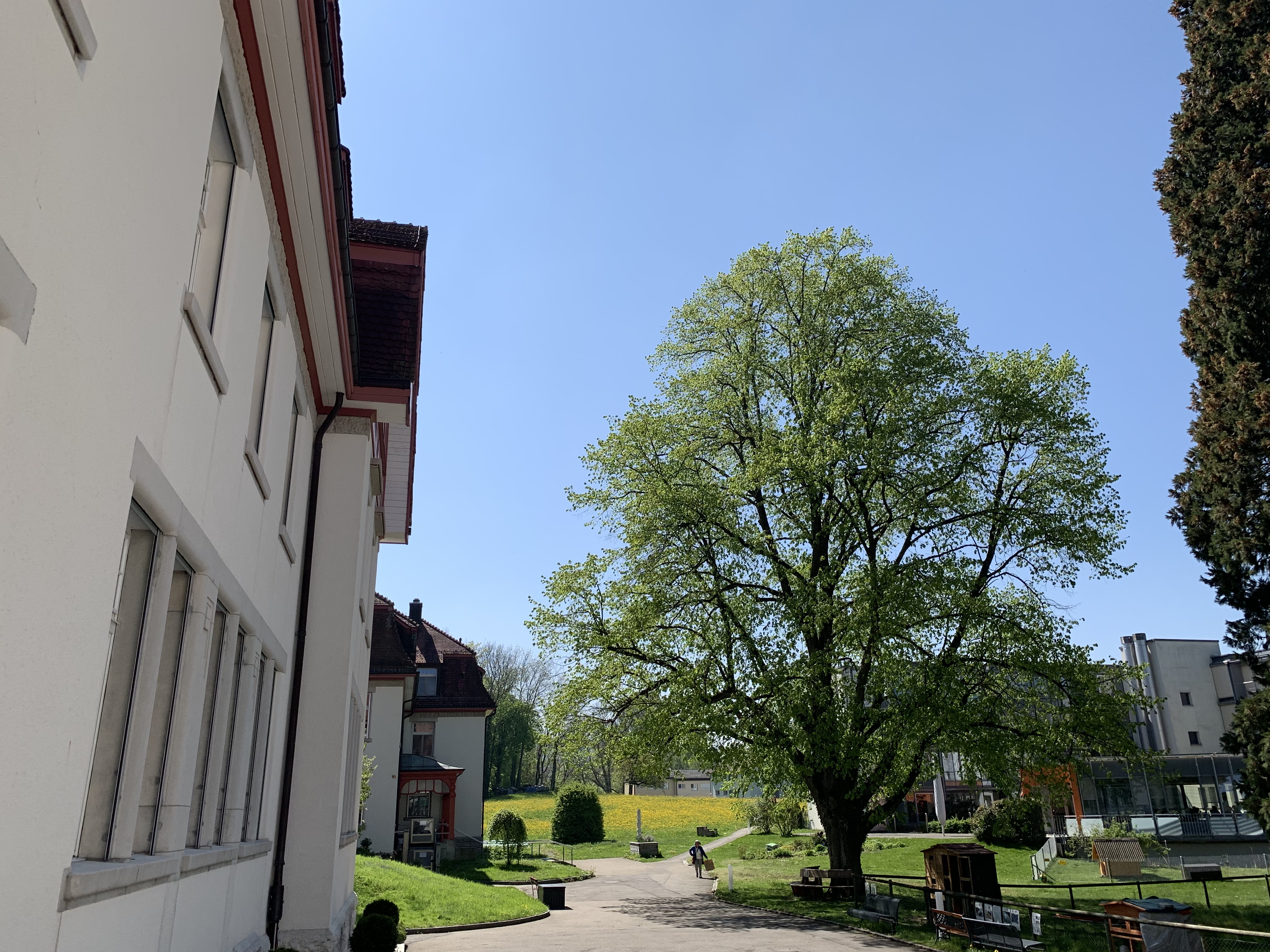 Blick auf den "Dorfplatz unter der Linde"